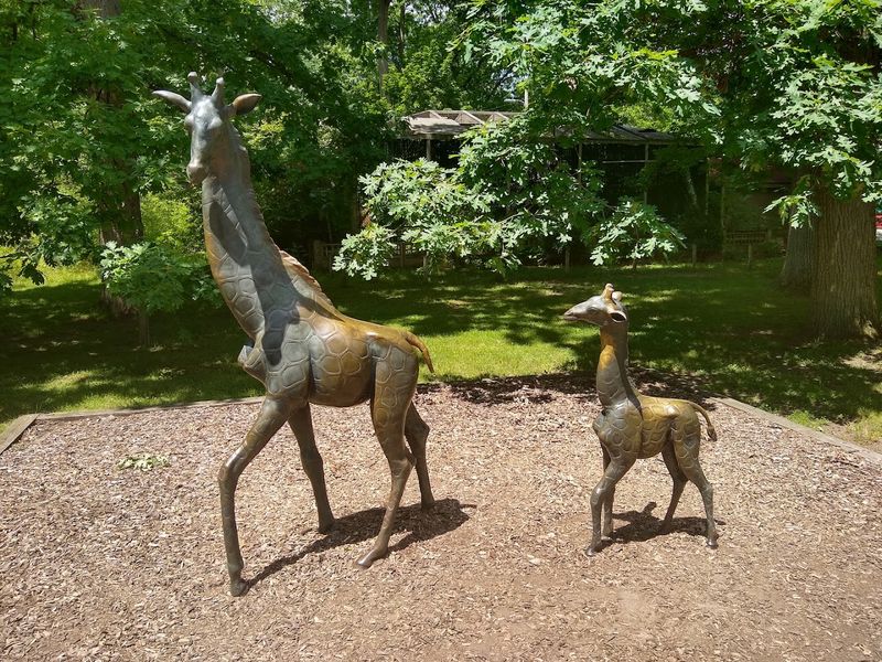 This Hidden Zoo In Michigan Is The Family Day Trip Most People Don't Know About - Decor Hint The AniMall Gift Shop And Picnic-Friendly Grounds