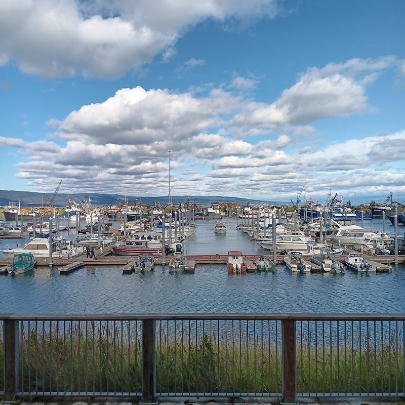 Homer Spit Is The Real Deal