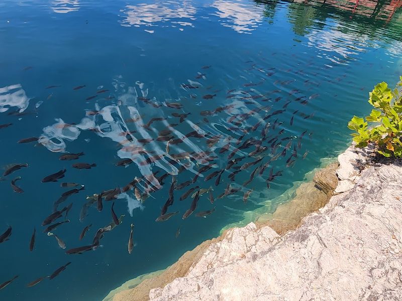 This Under-The-Radar Kentucky Diving Resort Is Worth Discovering - Decor Hint Kentucky's Oldest SSI Dive Center With A Strong Community Feel