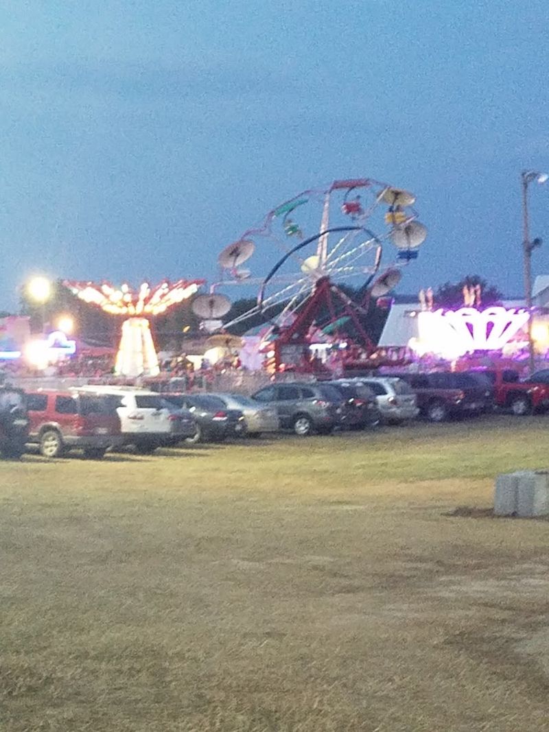 The Wayne Chicken Show, Wayne