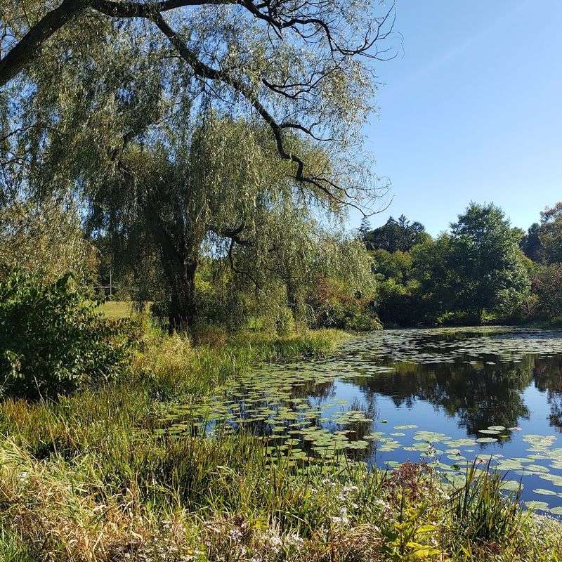 Bauer Park, Madison