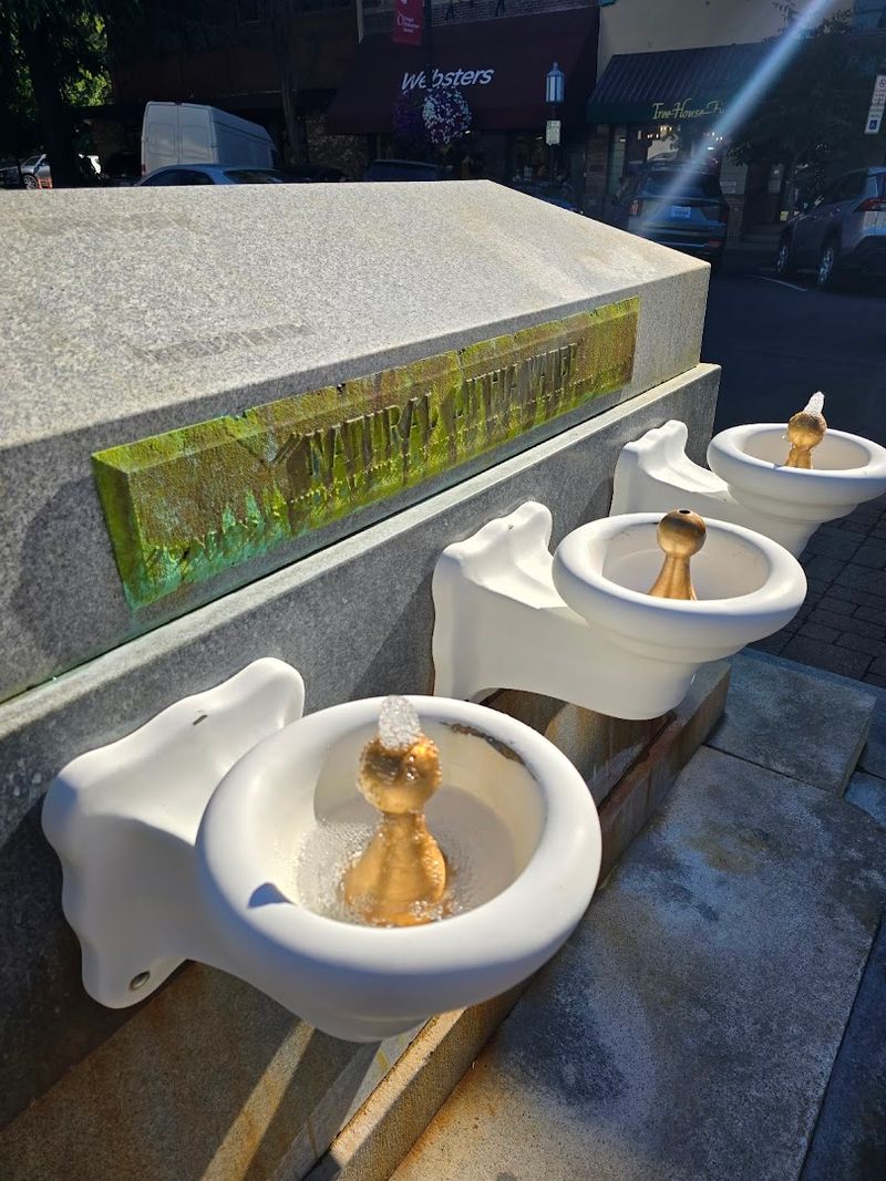 The Lithia Water Fountains Are Famous