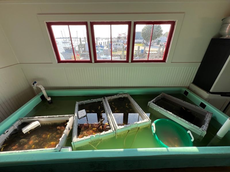 Fresh Seafood Market Right On The Premises