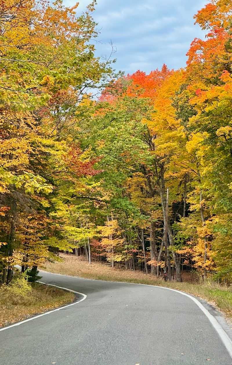 11 Michigan Road Trip Destinations That Cost Very Little But Feel Priceless - Decor Hint Tunnel Of Trees Scenic Byway (M-119)