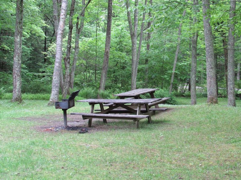 Picnicking With A View That Beats Any Restaurant Patio
