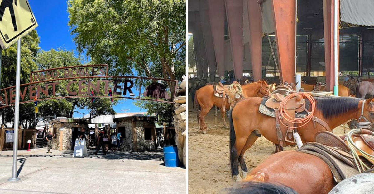 Over 300000 Californians Pack This July Fair In Paso Robles For Rodeo Finals And Tractor Pull Mayhem - Decor Hint