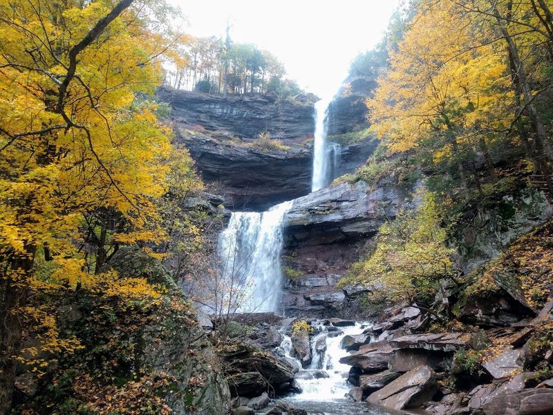 Kaaterskill Wild Forest, Saugerties