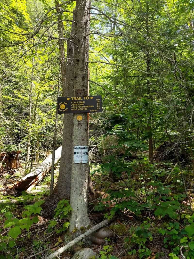 Clear Pond Trail, White Hill Wild Forest