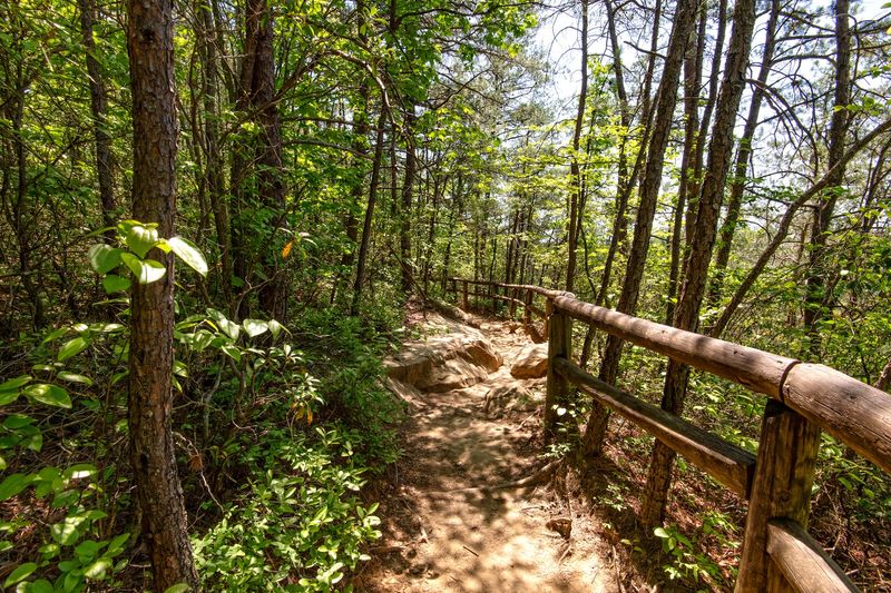 These 14 Kentucky Birdwatching Destinations Feel Like Hidden Front-Row Seats To Nature - Decor Hint Natural Bridge State Resort Park