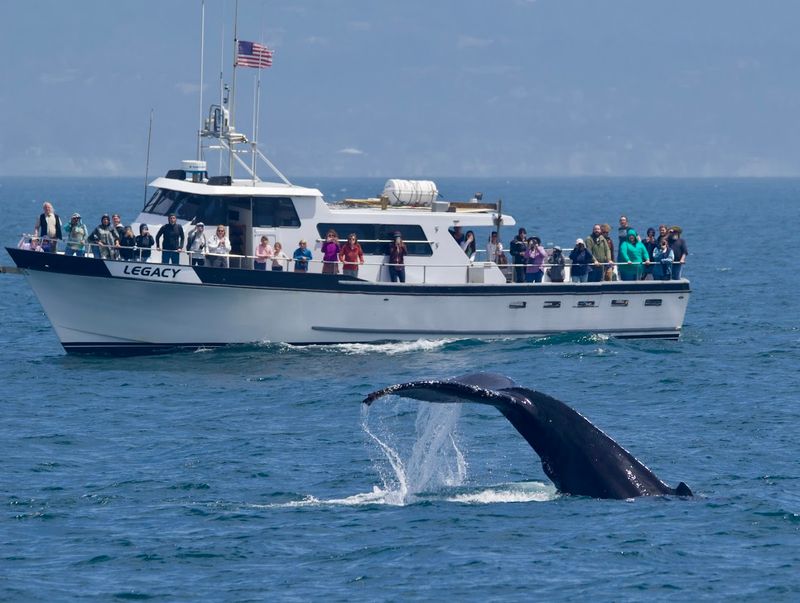Santa Cruz, Santa Cruz Harbor