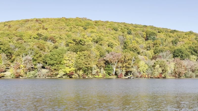 Fall Foliage Views From The Shoreline