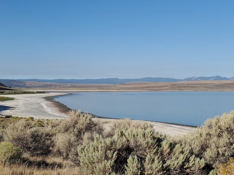 Lake Abert & Abert Rim