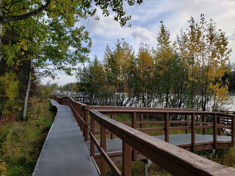 Soldotna
