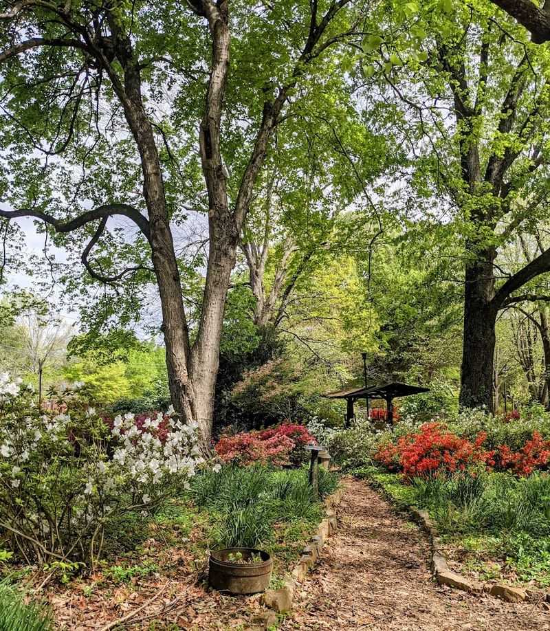 These 9 Tennessee Gardens Were Made For Slow Strolls And Quiet Moments - Decor Hint Oaklawn Garden, Germantown