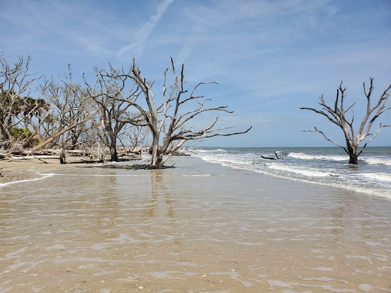 Botany Bay Plantation Heritage Preserve