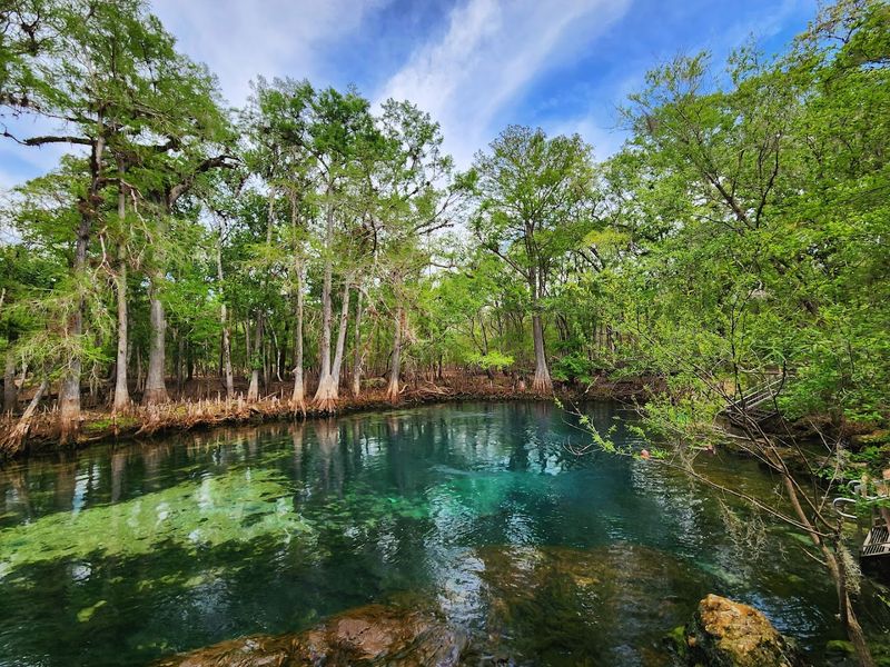 Manatee Springs State Park