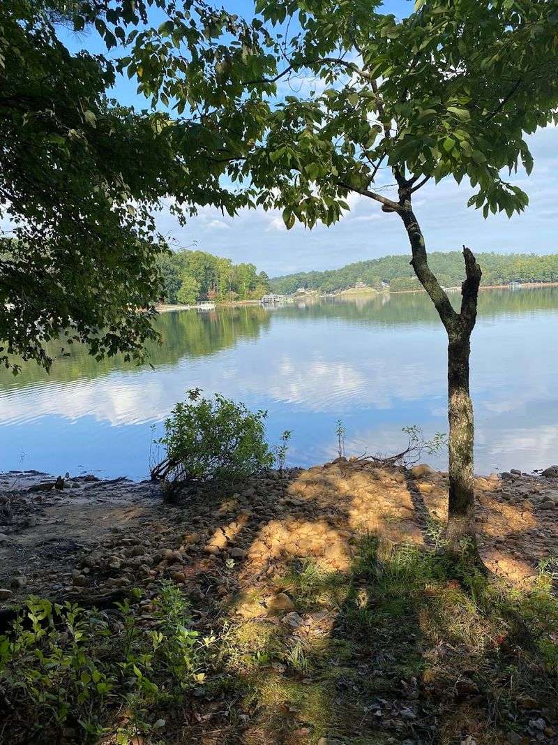 Great Fishing Opportunities Right At The Lake