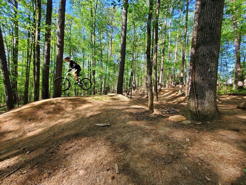 Mountain Biking Adventures On Park Trails