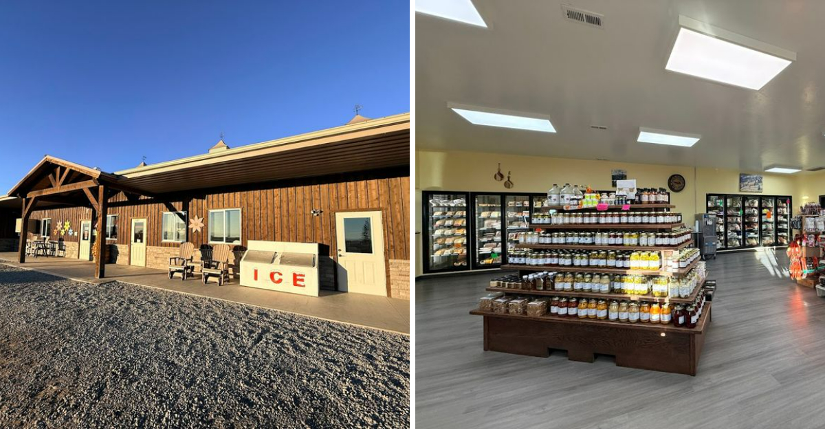 People Drive For Miles To Try The Giant Cinnamon Rolls At This Amish Country Bakery In Colorado - Decor Hint