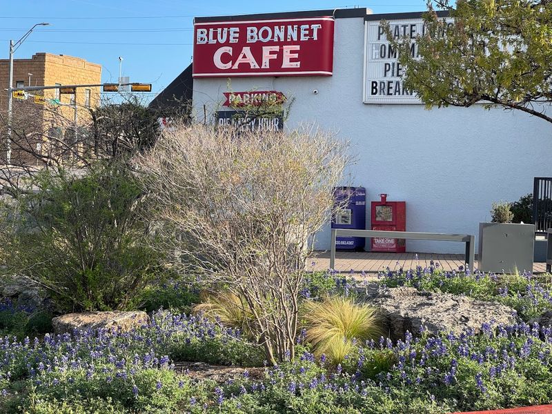 A Cafe Born In 1929