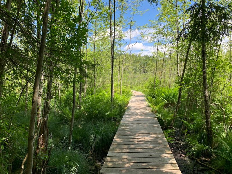 Campgrounds Add To The Outdoor Escape