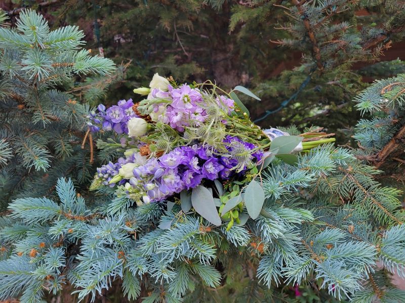 Accent On Wildflowers