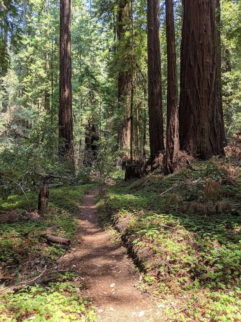 18 Miles Of Hiker-Only Trails For Every Fitness Level