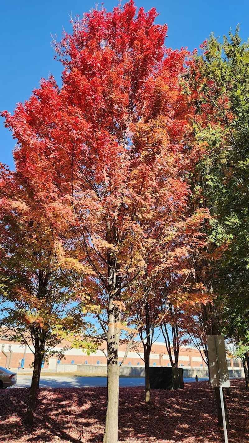 Year-Round Appeal That Changes With Every Season