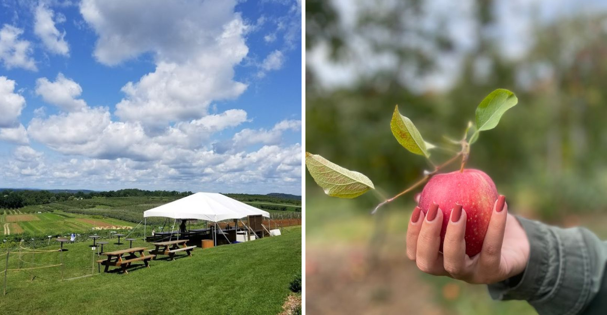 Pick Fresh Fruit And Enjoy A Peaceful Farm Day In New York - Decor Hint
