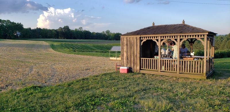 The Farm That Started It All