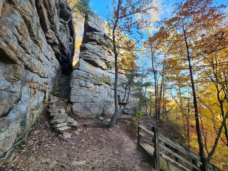 Savage Gulf State Park, Beersheba Springs