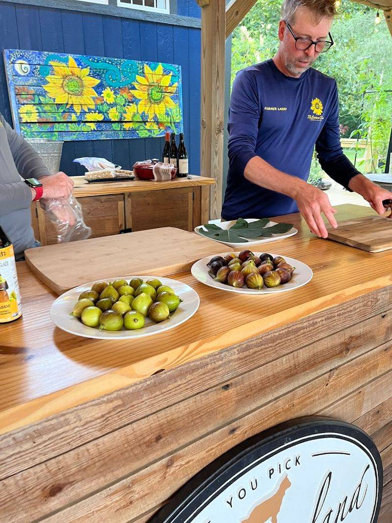 Farmer-Guided Visits Make The Fig Patch More Fun