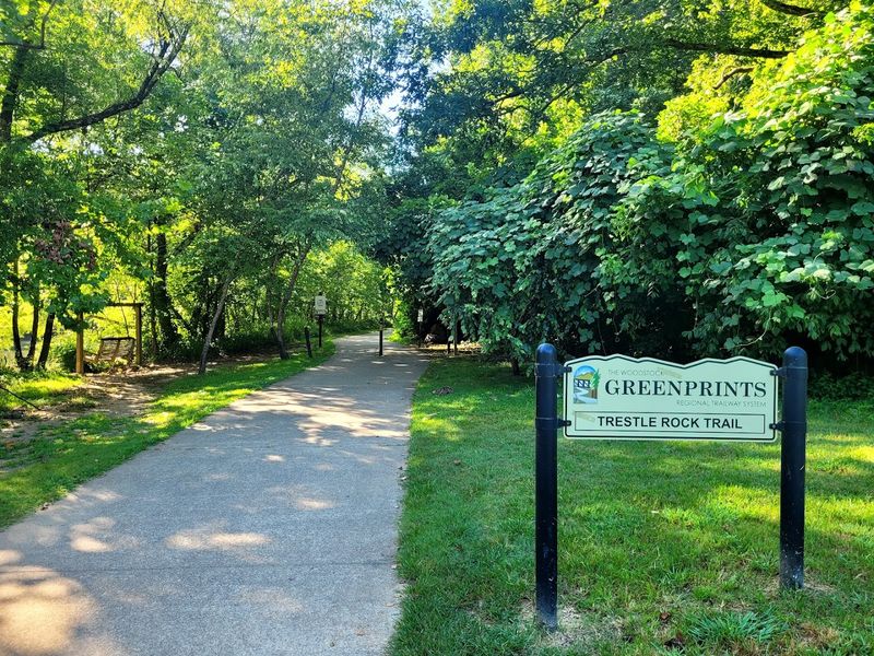Dog-Friendly Trails That Your Four-Legged Friend Will Adore