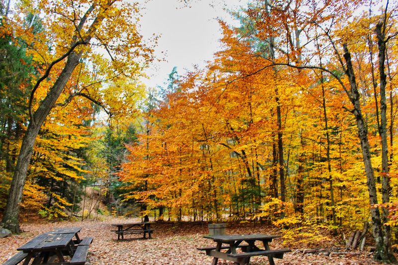 Fall Foliage That Makes The Drive Worth It Alone