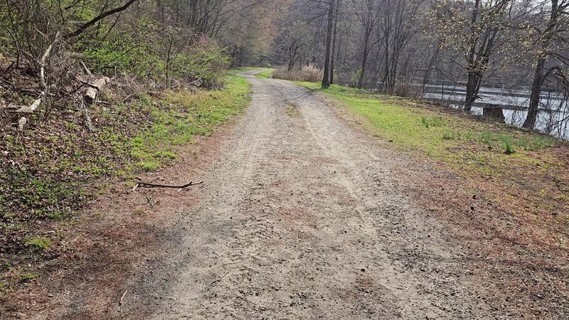 Trails Around The Lake