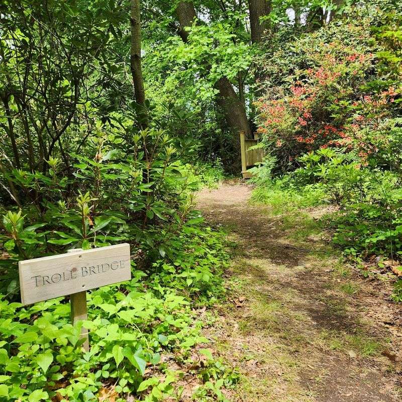 This Rhode Island Garden Feels Like A Quiet World Of Its Own - Decor Hint The Scavenger Hunt Hidden Inside