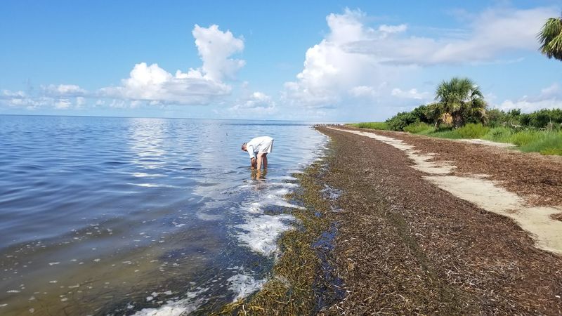 Horseshoe Beach