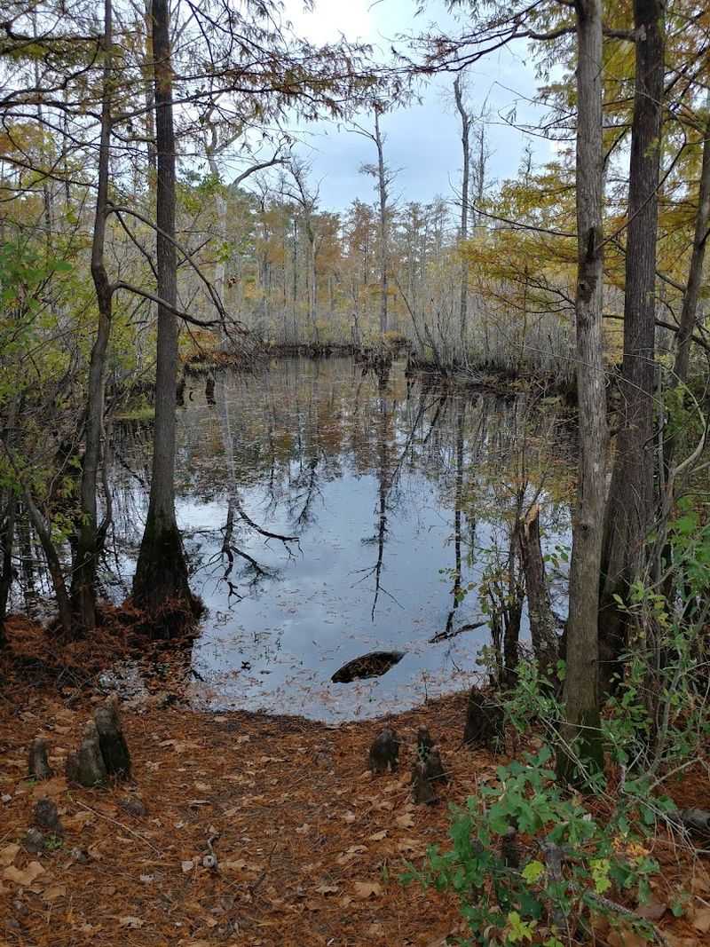 Wildlife Watching Gives The Visit Its Quiet Reward