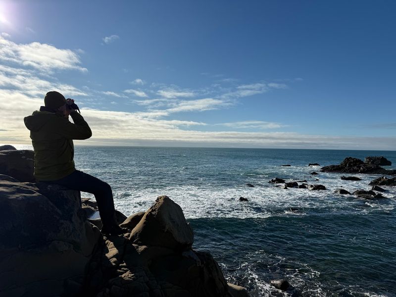 14 California Places Where The Silence Is Half The Reason To Go - Decor Hint Salt Point State Park, Sonoma Coast
