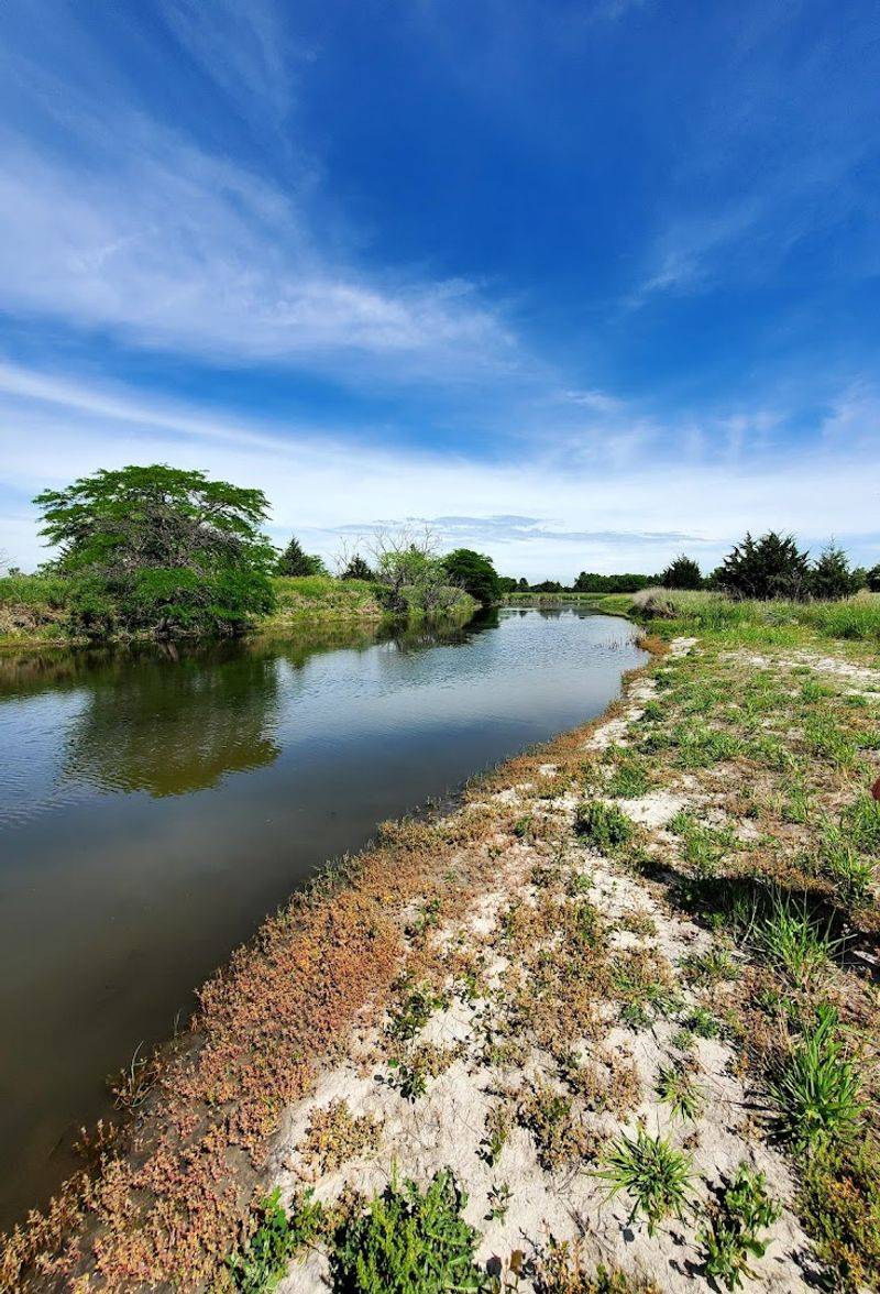 12 Nebraska's Nature Centers, Marsh Trails, And Wildlife Refuges Make The Wild Feel Surprisingly Close - Decor Hint Lincoln Saline Wetland Nature Center, Lincoln