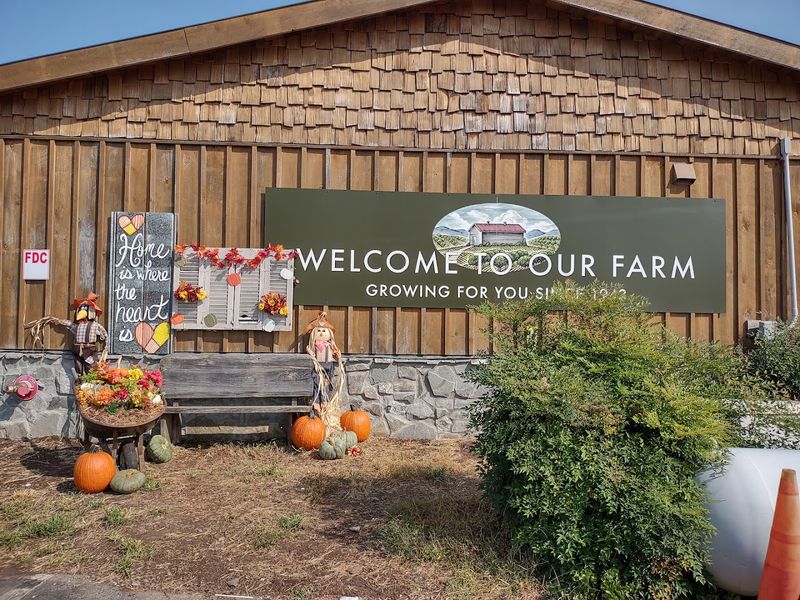 Why Mercier Orchards Belongs On Every Georgia Bucket List