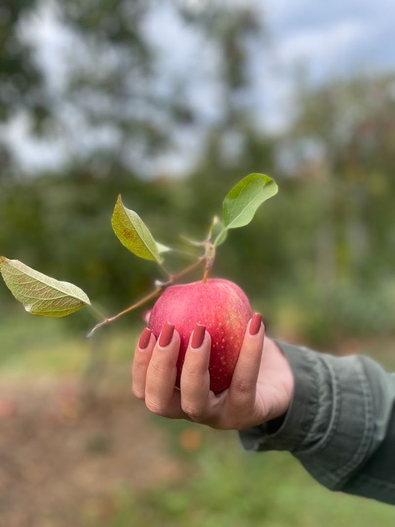 Why This Farm Stays With You