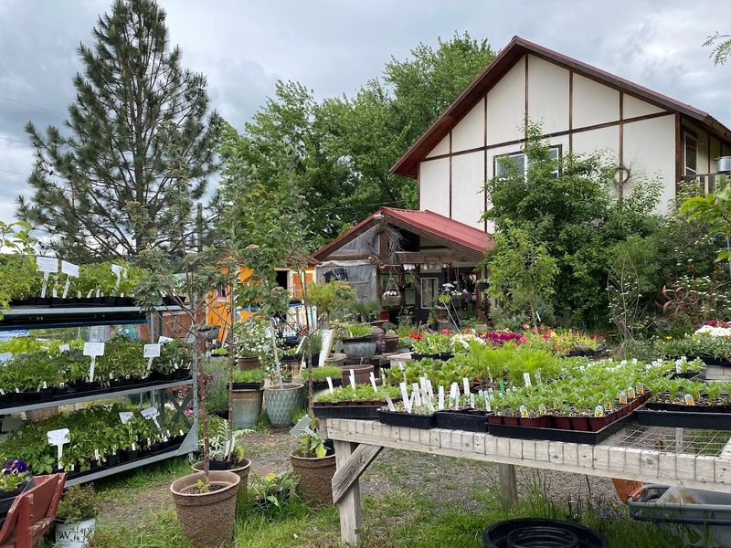 A Farm With Deep Idaho Roots