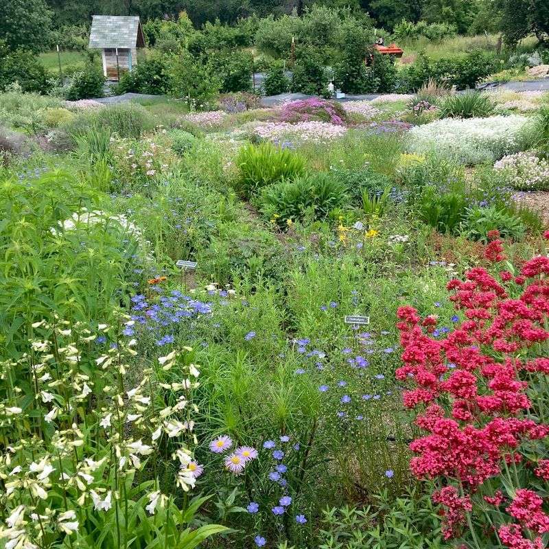 Water-Wise Gardening Philosophy