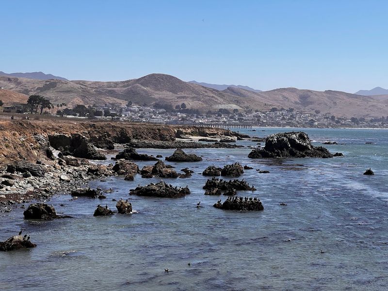 This Tiny State Park In California Will Melt All Your Stress Into Calm - Decor Hint Tidepools Add A Little Treasure-Hunt Energy