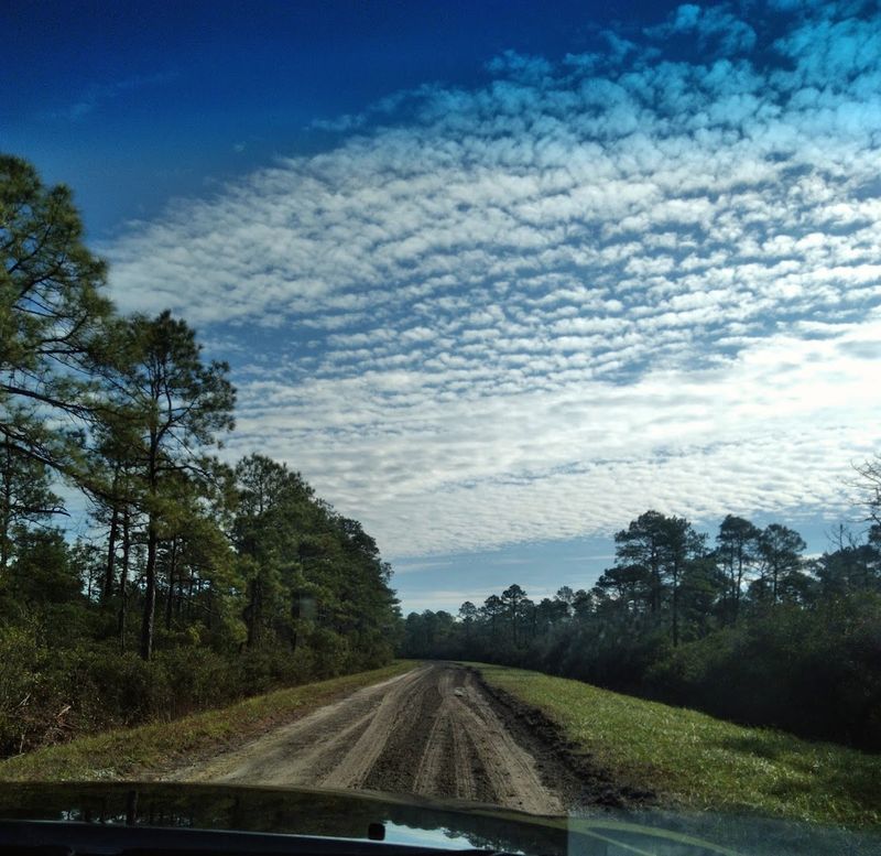 Long Sandy Roads Cut Through The Wild Terrain