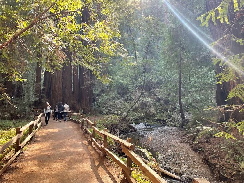 12 California Day Trips That Feel Like Mini Vacations Without Passing $50 - Decor Hint Muir Woods National Monument, Mill Valley