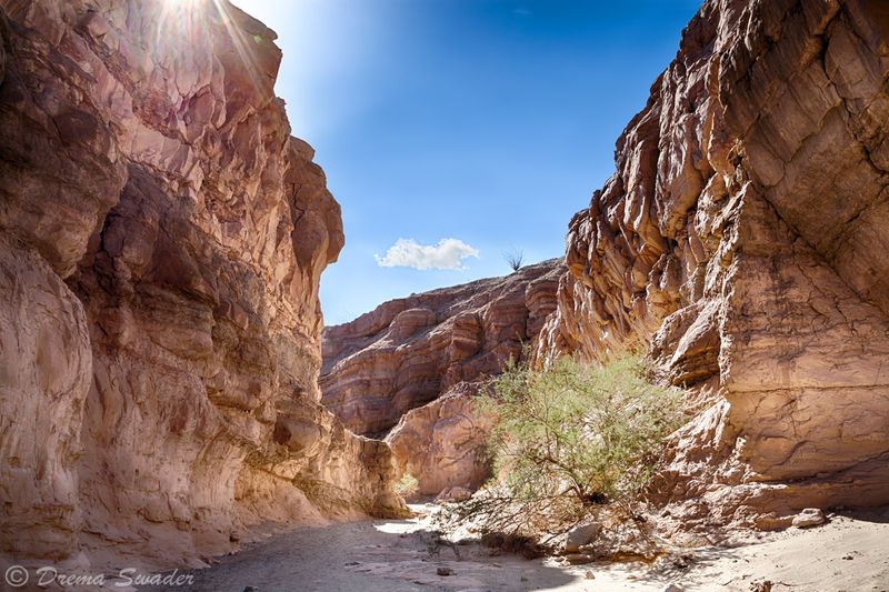 14 California Places Where The Silence Is Half The Reason To Go - Decor Hint Anza-Borrego Desert State Park, Borrego Springs