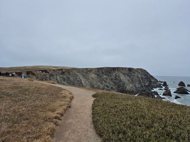 Bodega Head, Bodega Bay