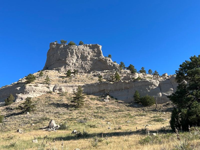 Nebraska Wildlife Spots Where Bison, Elk, And Other Big Animals Are Easy To See - Decor Hint Cedar Canyons Wildlife Management Area, near Gering